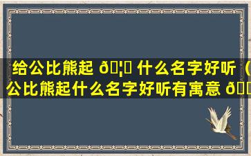 给公比熊起 🦍 什么名字好听（公比熊起什么名字好听有寓意 🐳 ）